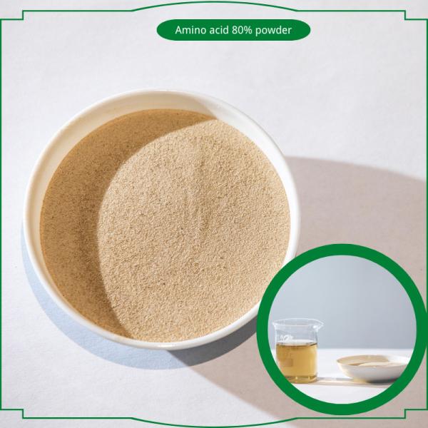 Aminoácido em pó à base de proteína animal hidrolisada 80% fertilizantes agrícolas