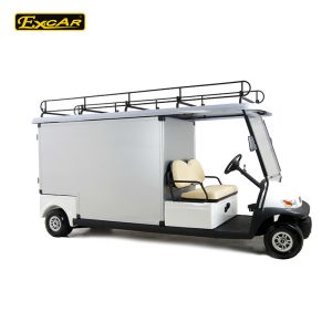 Electric Hotel Buggy Car Transport Luggage