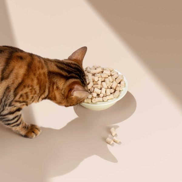 Raw Meat and Bones Freeze-Dried Staple Food for Cats A Complete Meal