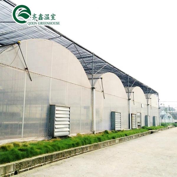 Agricultural Greenhouse Inside and Outside Shading System with Advanced Seeding Machine