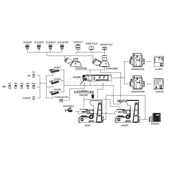 Binocular Light Laboratory Biological Microscope 187mm X 168mm Stage Moving