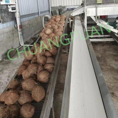 Oil Extraction Coconut Processing Machine 220V 380V 415V
