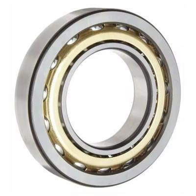 High Quality Angular Contact Ball Bearing 7022 C