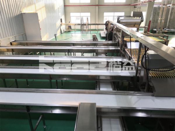 5.5m small industrial hot air drying conveyor belt oven heat treating oven tunnel dryer machine