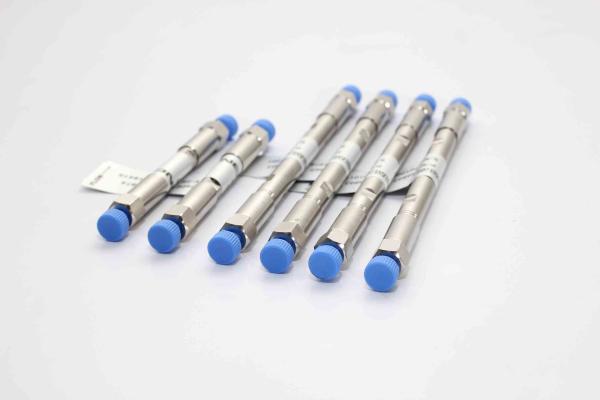 Stainless Steel 2.1*200mm Ion Chromatography Columns MSA Eluent