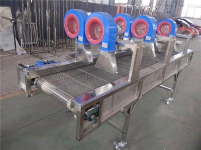 cherry washing drying grading machine, cherry sorting machine, cherry grader sorter