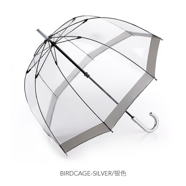 Stylish Dome Shape Clear PVC Plastic Rain Umbrella for Adults Apollo Minimalist Design