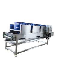 220V 800mm ceinture 900kg/h Fruit et légumes sécheuse machine