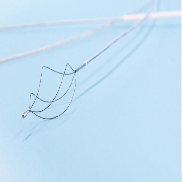 Silver Stone Basket for Endoscope