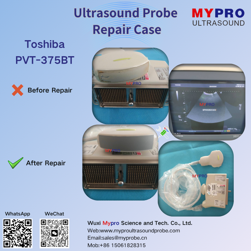 Toshiba PVT-375BT Ultrasound Probe Repair Service Scanhead Replace Cable Change