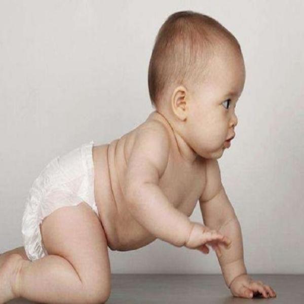 PLC Baby Diaper Production Line Diaper Equipment