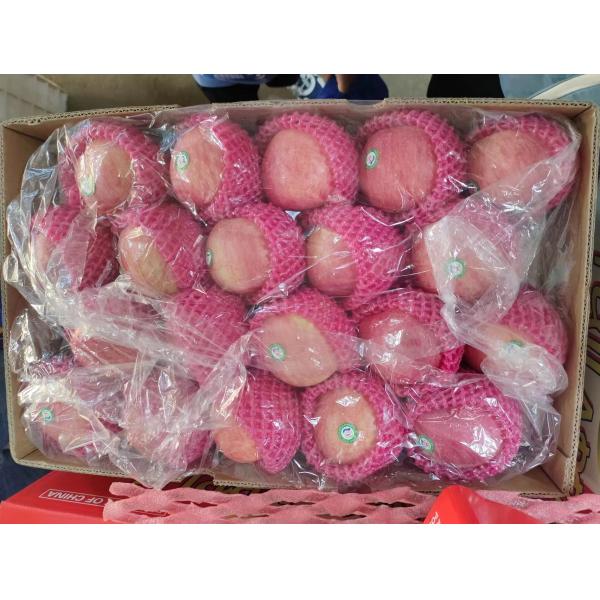 2024 Best Green Fuji Apples Fresh Product with 0.4kg Weight