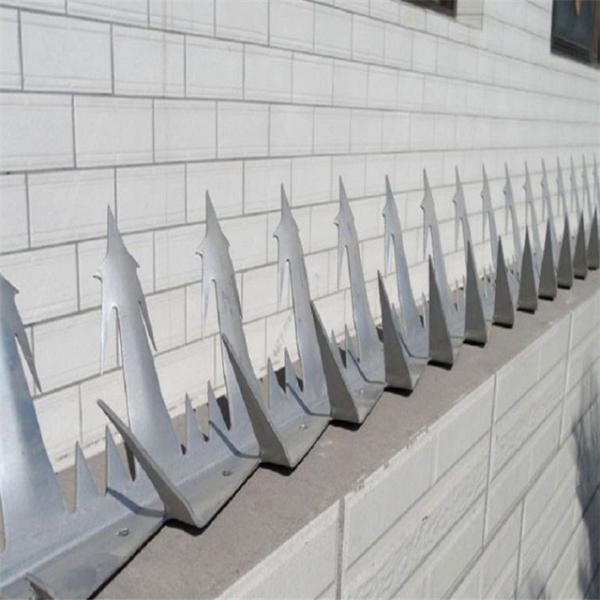 Comprimento galvanizado dos pontos 64-100mm da lâmina da escalada de AISI430 AISI304 anti