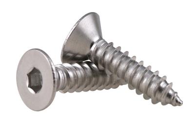 Countersunk Head Hex Drive Self - Tapping Screws Flat Head Socket Drive Pointed Screws