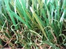 UV Resistant Pet Synthetic Grass Turf For Indoor / Outdoor , 25mm Artificial Grass