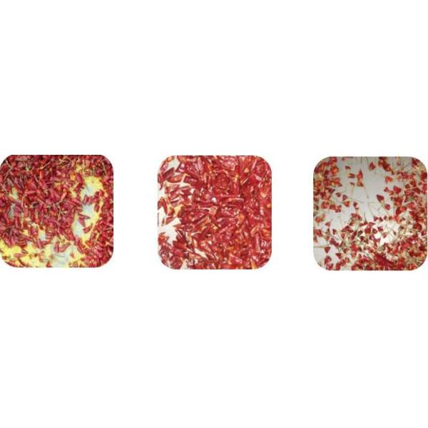 Машина 400 разделителя цвета чилей выбора формы - 600Kg/H слой 8.2kw одиночный/двойной