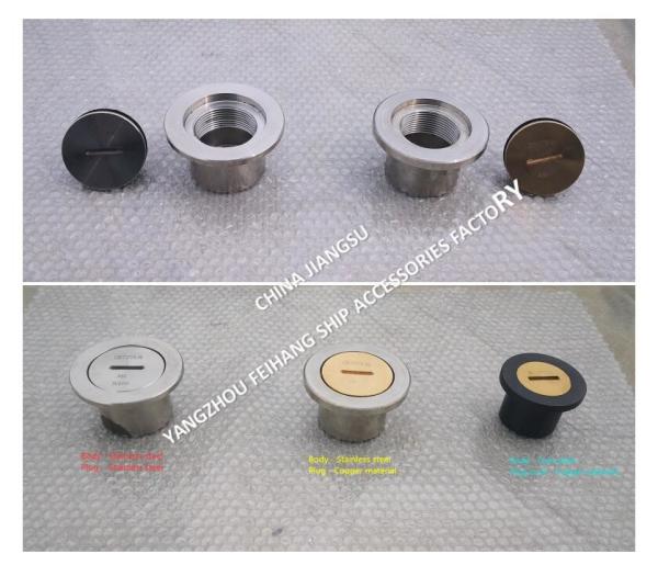 Stainless Steel Threaded Sounding Pipe Head Meets Standard GB/T3778-99