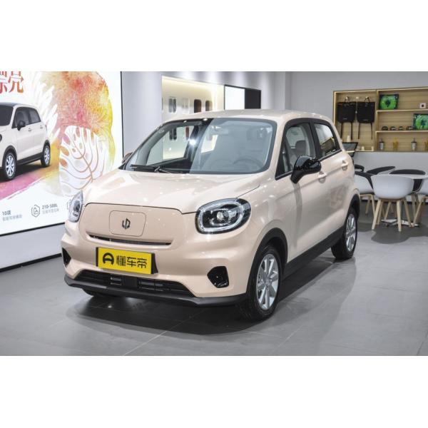 Closed Body Type and Seats for 5 2022 Leapmotor T03 Amber Edition