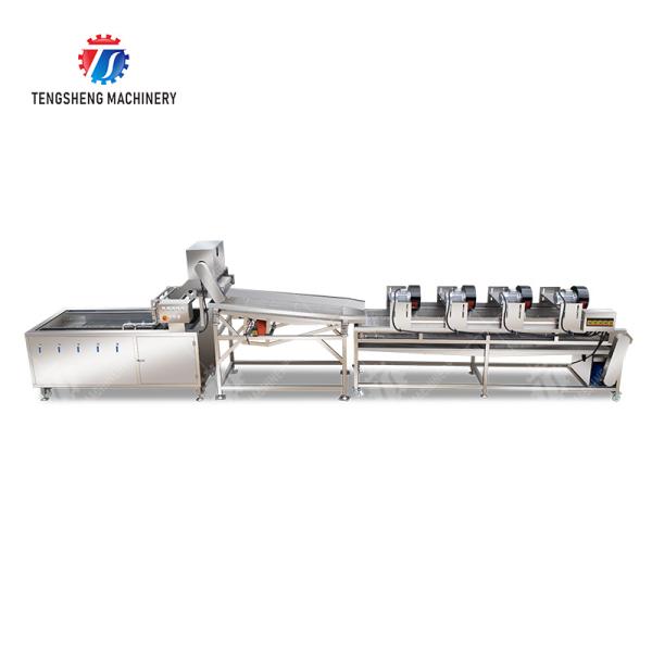 Fruit and vegetable washing and vibrating drying production line Fruit Vegetable FOOD processing production Machine Versatile and Durable Fruit Vegetable Processing Line for Your Business Processin