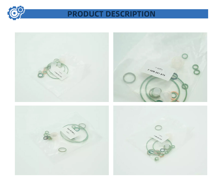 F00N201975 Auto Parts Repair Kit Steel Common Rail Injection Fuel Pump for Truck Engines