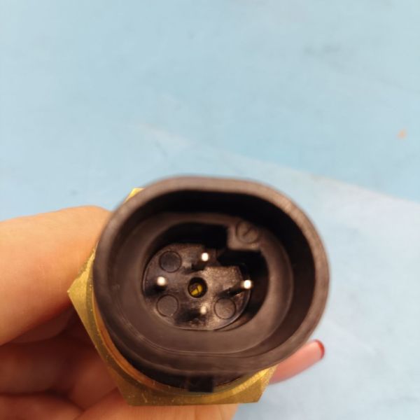 Genuine Perkins Coolant Level Switch CH12541 Spare Parts for Perkins 2306 2506