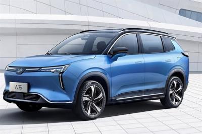 WM W6 Large Electric Cars 520KM 620KM New Energy Weltmeister Electric Car SUV