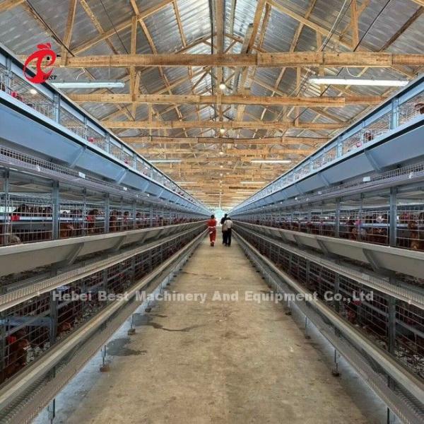 A And H Chicken Cage Equipment For Raising Chickens Farm Doris