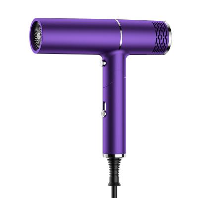 Various Colors Automatic Mini Hair Dryer With Standard Plug Design