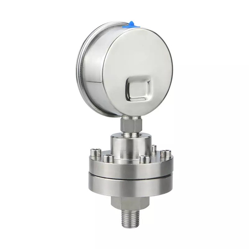 Zhejiang Made 2.5 Precision 60mm Stainless Steel Diaphragm Pressure Gauges with Long