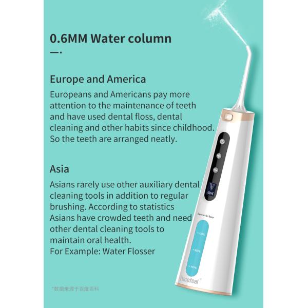 Вода Flosser Irrigator портативного озона Nicefeel устная