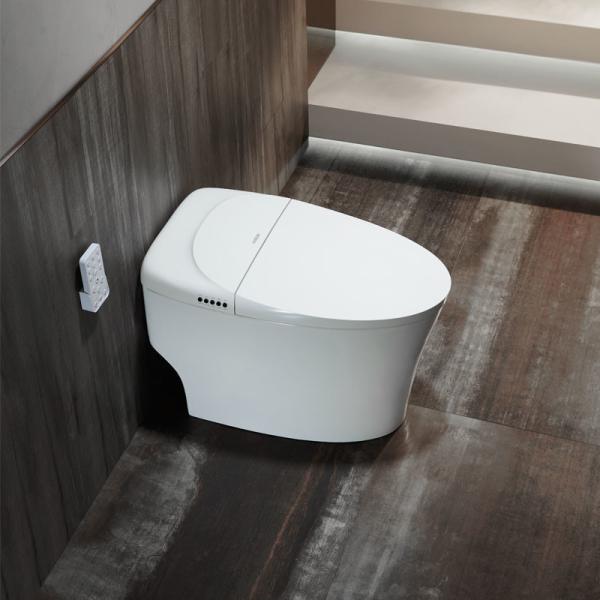 WC шкафа современного умного туалета женщин электрический автоматический полный умный