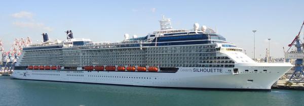Large Exhibition Wooden Cruise Ship Models , Celebrity Solstice Model With Print Logo