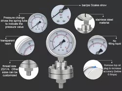 Zhejiang Made 2.5 Precision 60mm Stainless Steel Diaphragm Pressure Gauges with Long