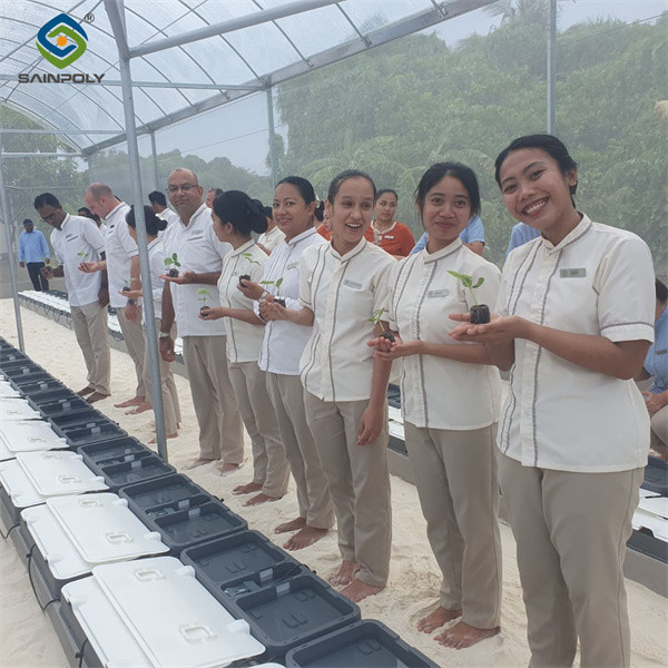 Strong Ventilation Plastic Film Greenhouse With Hydroponic Growing System
