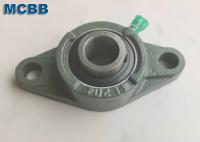 FL204 Cast Iron 2 Bolt Flange Pillow Block Bearing