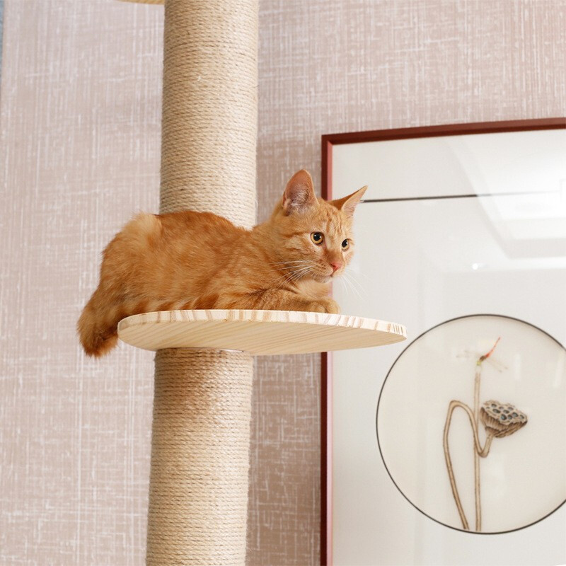 Floor-to-Ceiling Modern Luxury Sisal Wood Adjustable Durable Cat Climbing Frame Jumping Platform Cat Tree Condo Furniture Carton