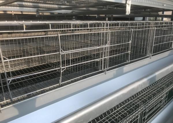 High Efficiency  Chicken Farm Water System Easy Maintain 15-20 Years Lifespan