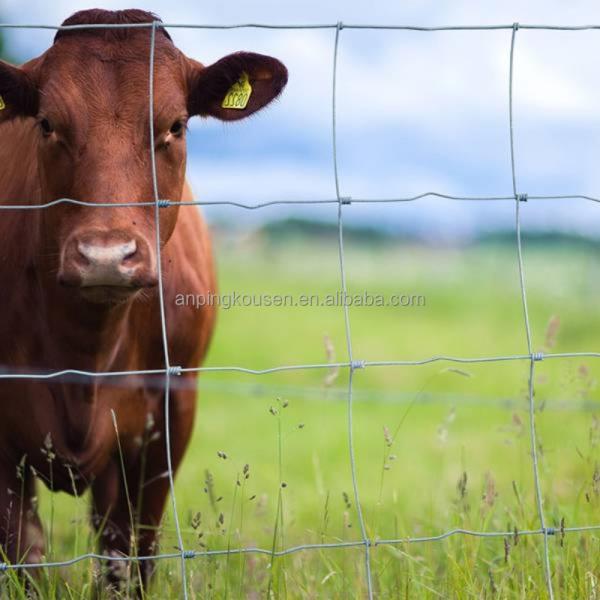 Metal Type Iron Pasture Fence 2.5mm Wire Diameter for Goat Farming 4ft-5ft-6ft-8ft