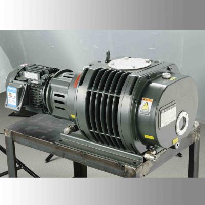 A bomba de vácuo de raizes da secagem de gelo de BSJ150L o ³ /h de 500 m enraíza a bomba de vácuo do ventilador