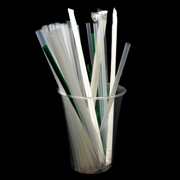 Everyday Plant Based Straws 100% Biodegradable and Compostable for Sustainable Living