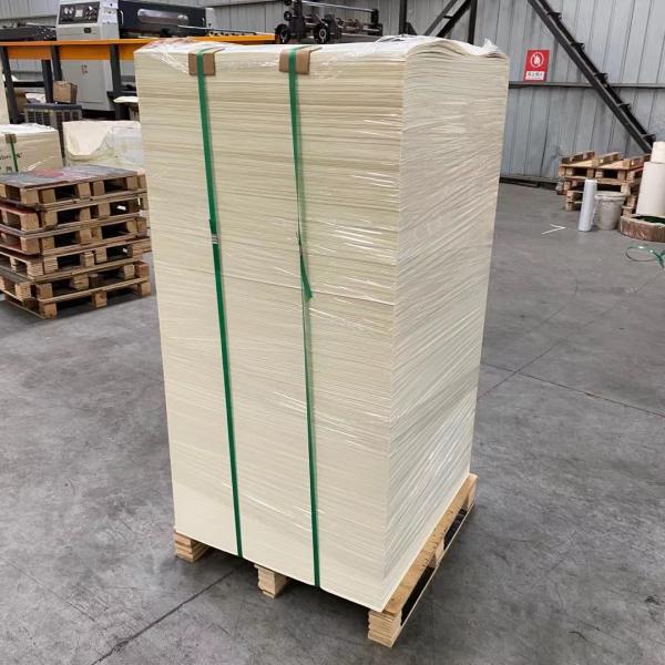 Folha de papel revestida de PE de parede única para copos de papel impermeáveis