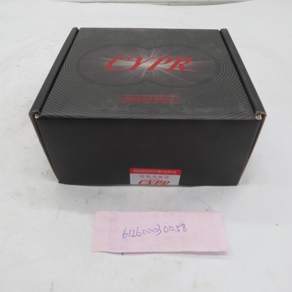 Best price Piston ring 612600030058
