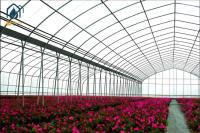 Commercial Prefab Structure Modular Tunnel Plastic Film Greenhouse For Agriculture Farming