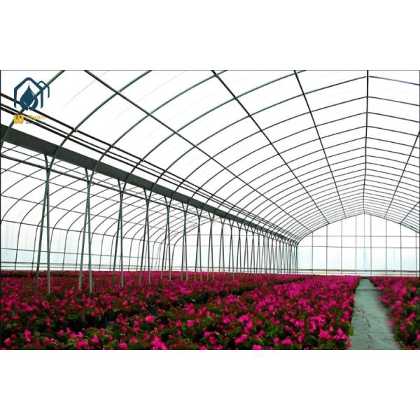 Commercial Prefabricated Greenhouse Modular Plastic Film Tunnel Greenhouse Large