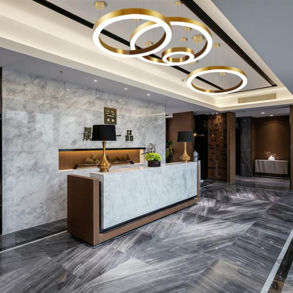 Света приведенные современного потолка аллуминум золота круглого привесные для гостиницы кухни проектируют освещение