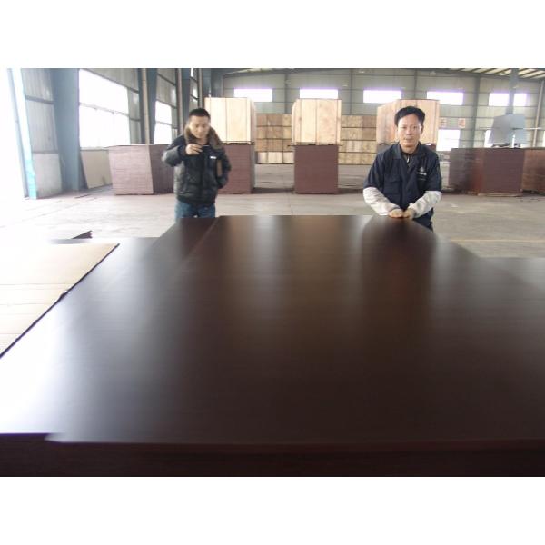 Shandong Linyi factory price 18mm melamine plywood film faced plywood poplar/