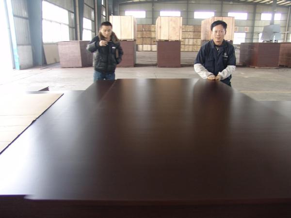 Shandong Linyi factory price 18mm melamine plywood film faced plywood poplar/ low price birch plywood