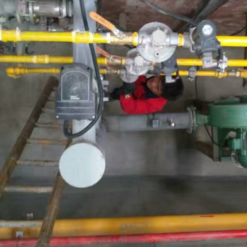 CE Certified Galvanizing Furnace System with Dual-Zone Thermal Regulation and Heat Recovery for Zinc Tank Line