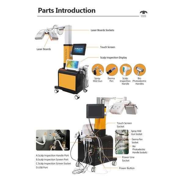650nm 6 In 1 Laser Hair Growth Device For Scalp Care / Hair Regeneration