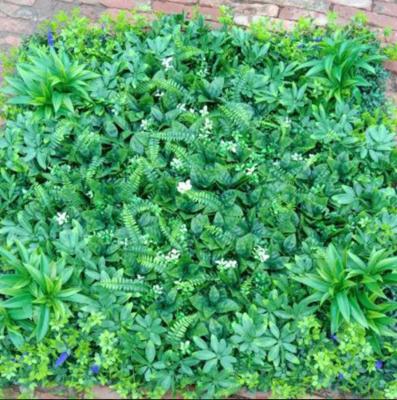 100cm*100cm Size Wall Fake Grass Highly Realistic Appearance
